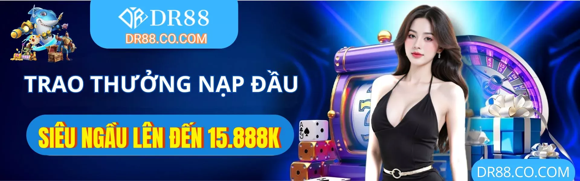 Banner dr88