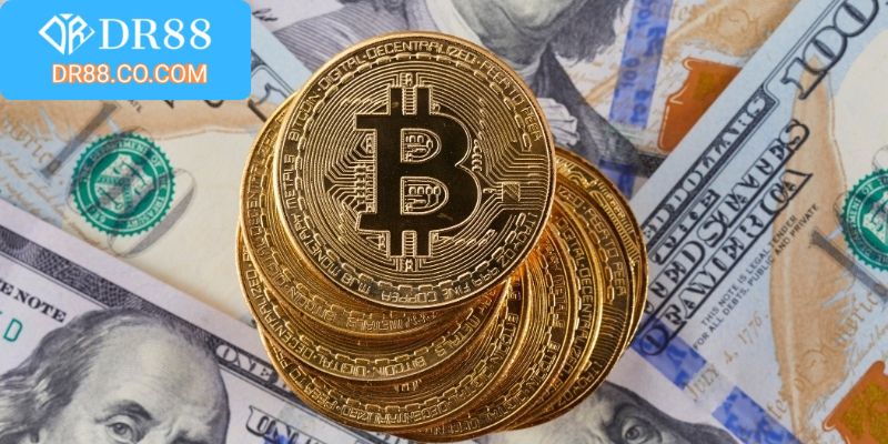 Quy định nâng cấp và hoa hồng đại lý minh bạch